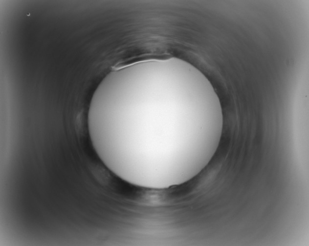 X0000088050088200706081638