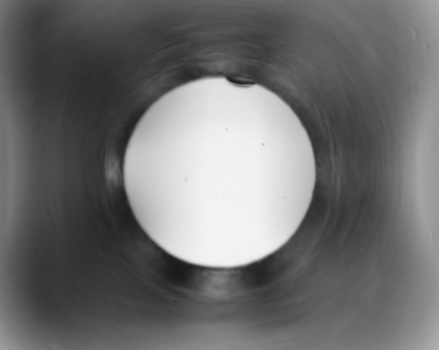X0000088050089200706081638