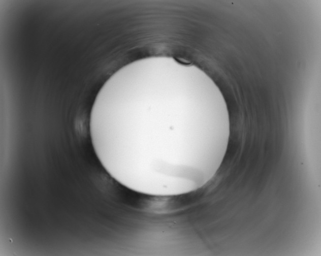 X0000088050090200706081638
