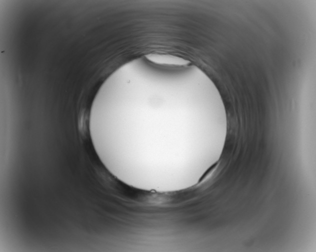X0000088050094200706081638