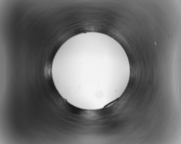 X0000088050095200706081638