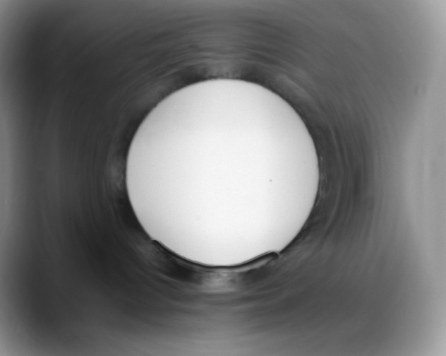 X0000088050096200706081638