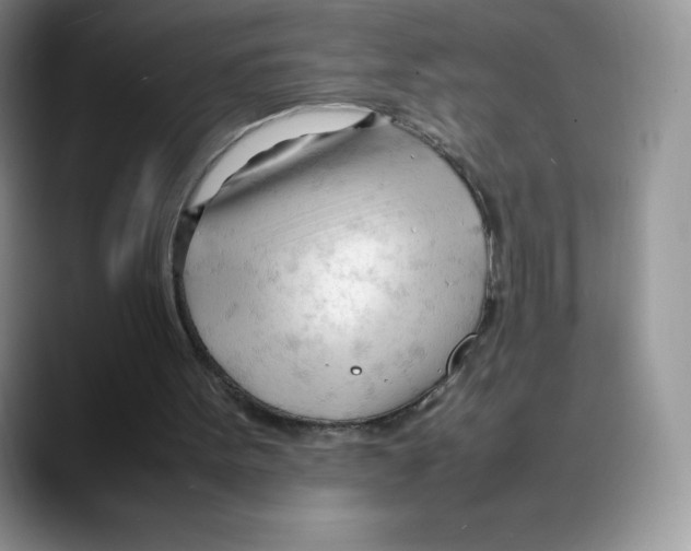 X0000088050099200706081637