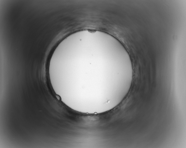 X0000088050102200706081637