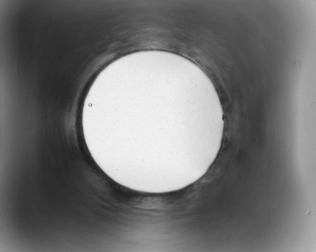 X0000088050104200706081637