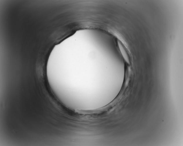 X0000088050105200706081637
