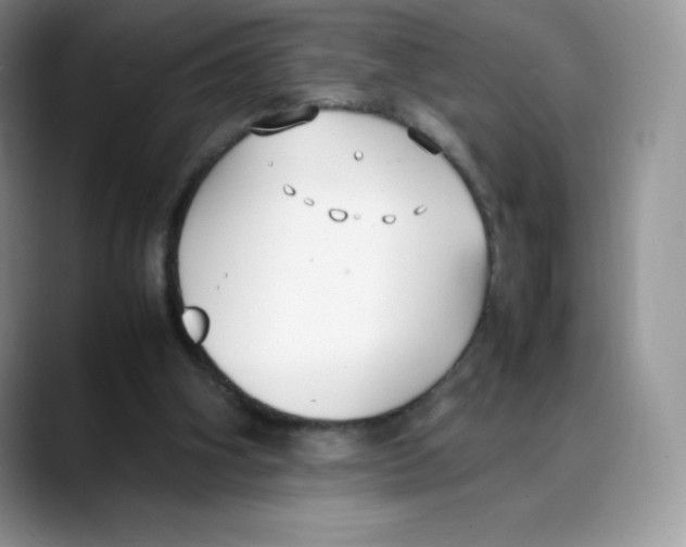 X0000088050106200706081637