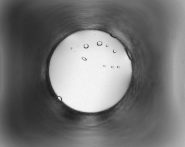 X0000088050107200706081637