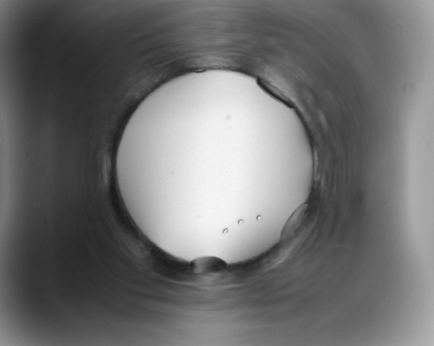 X0000088050109200706081637