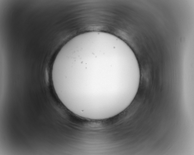 X0000088050110200706081637