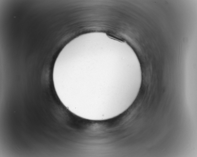 X0000088050111200706081637