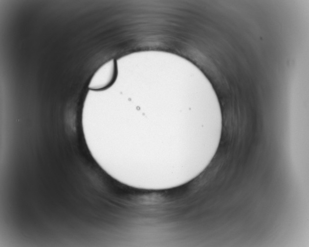 X0000088050112200706081637