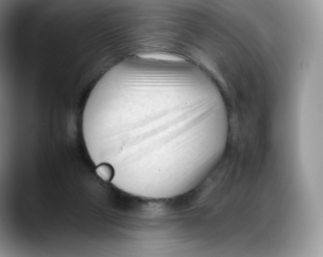 X0000088050114200706081637