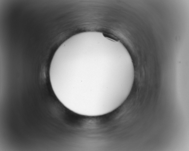 X0000088050115200706081637