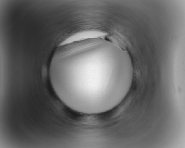 X0000088050117200706081637