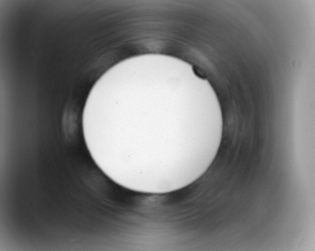 X0000088050122200706081637