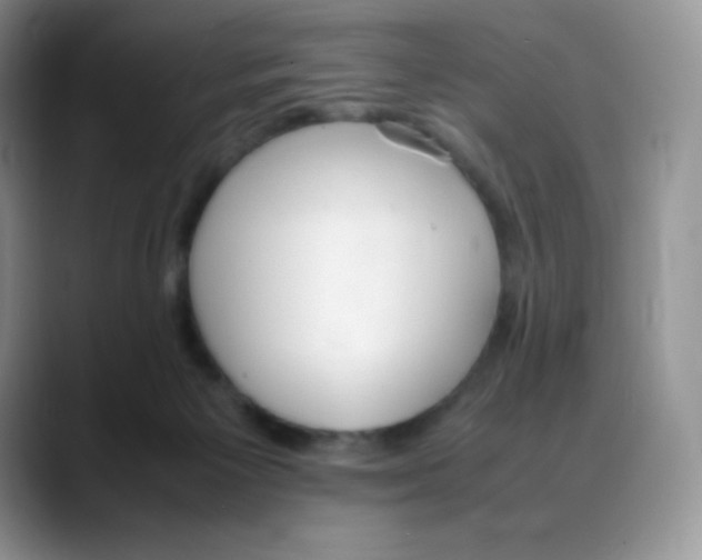 X0000088050125200706081637