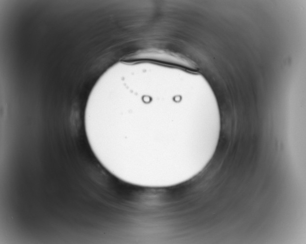 X0000088050128200706081637
