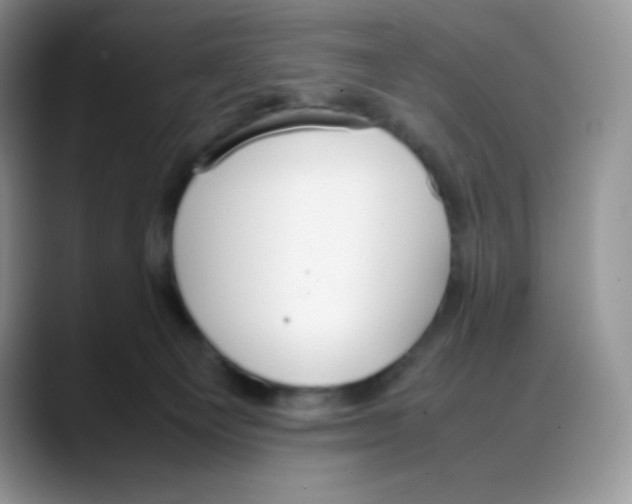 X0000088050129200706081637