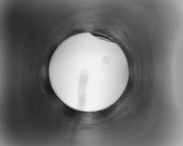 X0000088050131200706081637