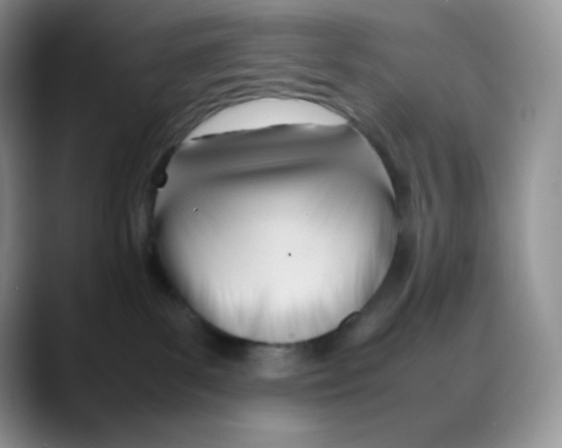 X0000088050139200706081637