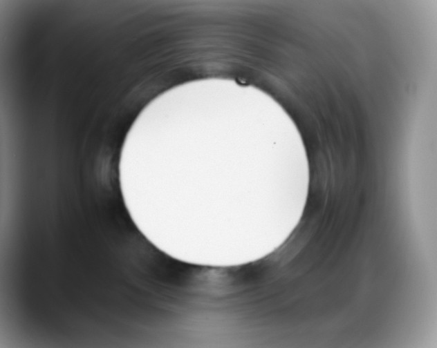 X0000088050140200706081637