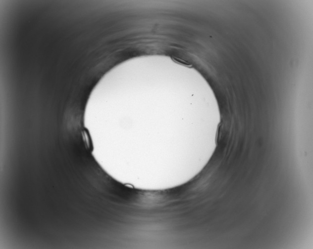 X0000088050141200706081637