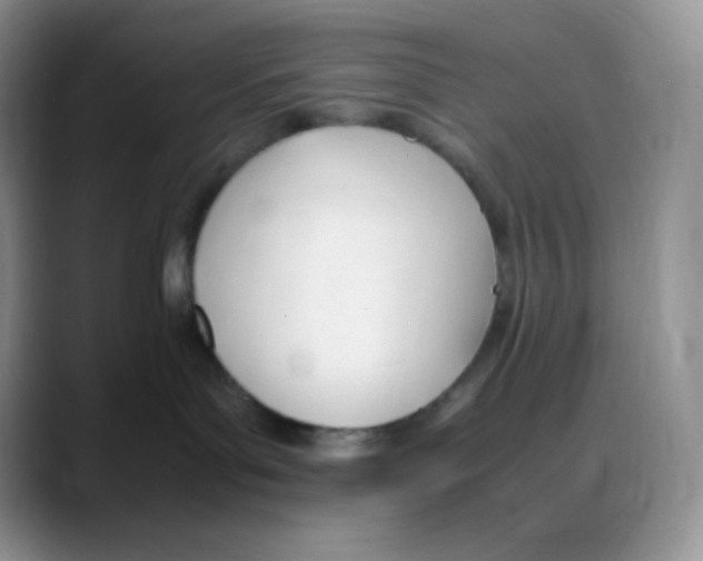 X0000088050143200706081637