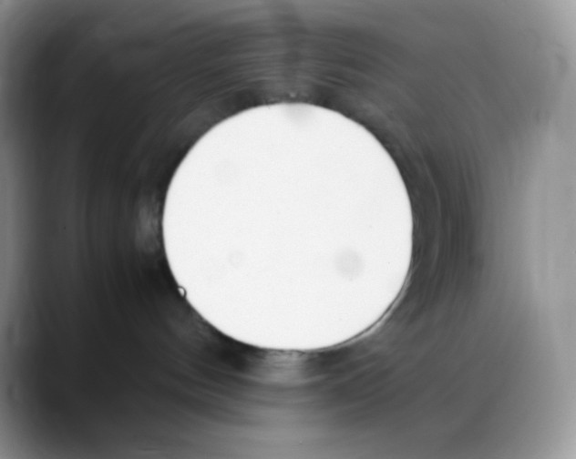 X0000088050144200706081637