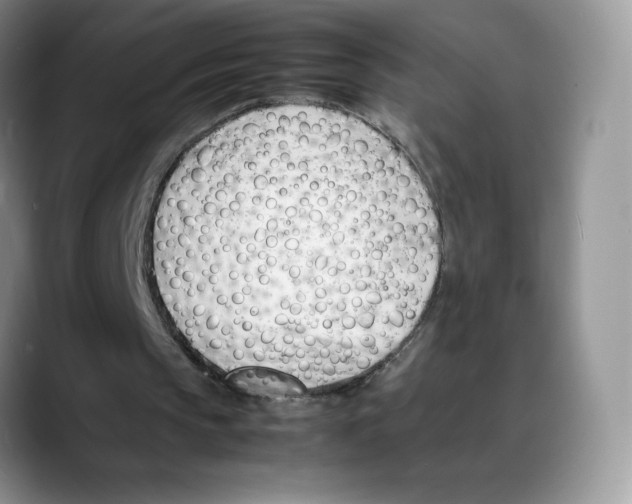 X0000088050145200706081636