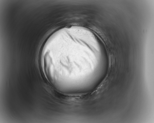 X0000088050147200706081636