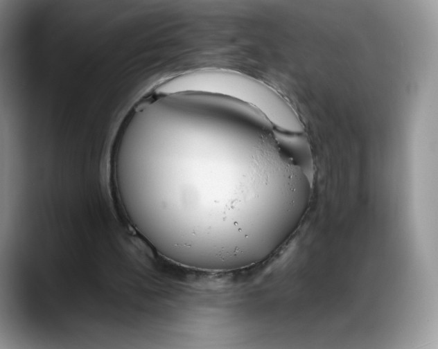 X0000088050148200706081636