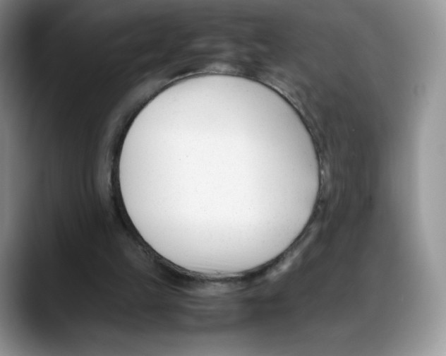 X0000088050149200706081636