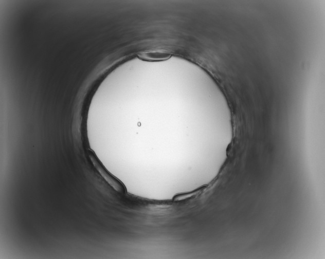 X0000088050150200706081636