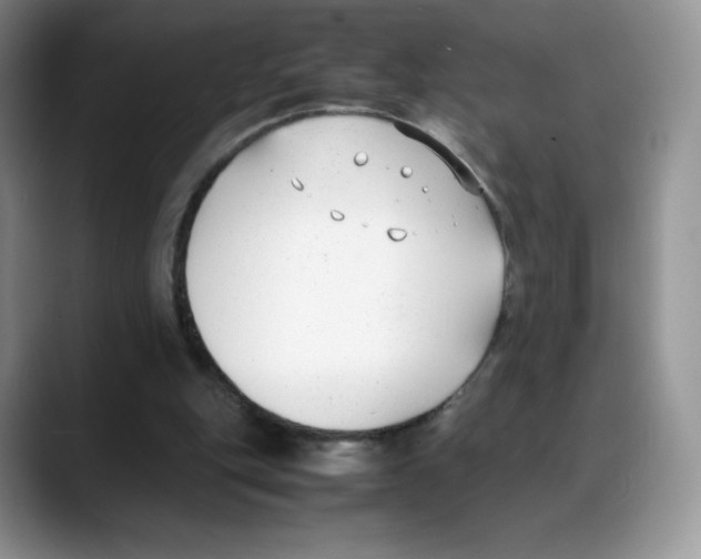 X0000088050151200706081636