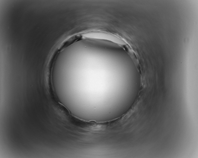 X0000088050152200706081636
