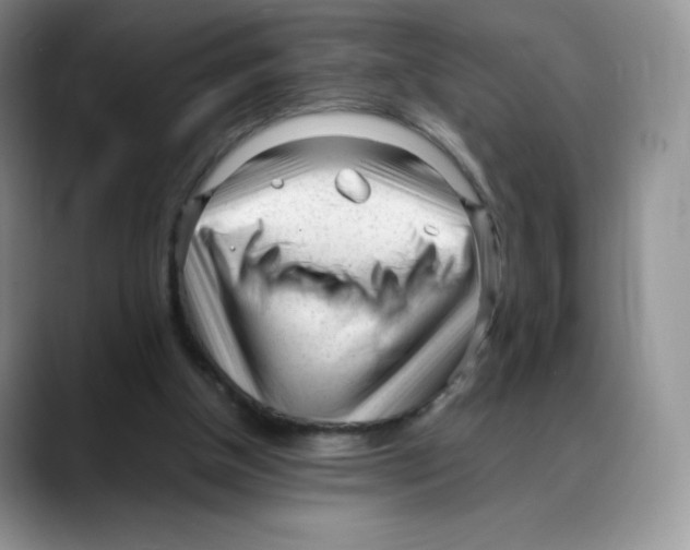X0000088050154200706081636