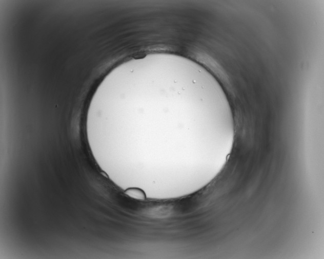 X0000088050155200706081636