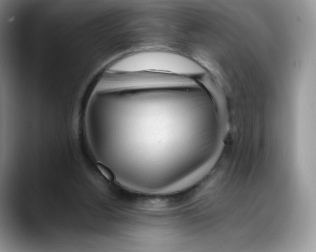 X0000088050156200706081636
