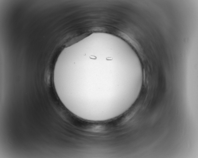 X0000088050157200706081636