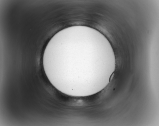 X0000088050159200706081636
