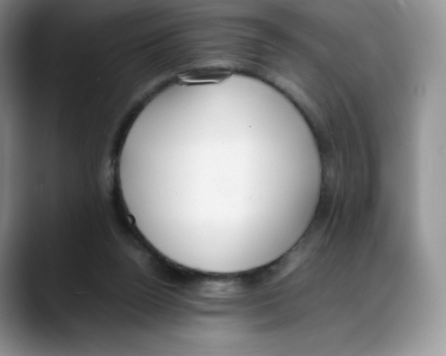 X0000088050160200706081636