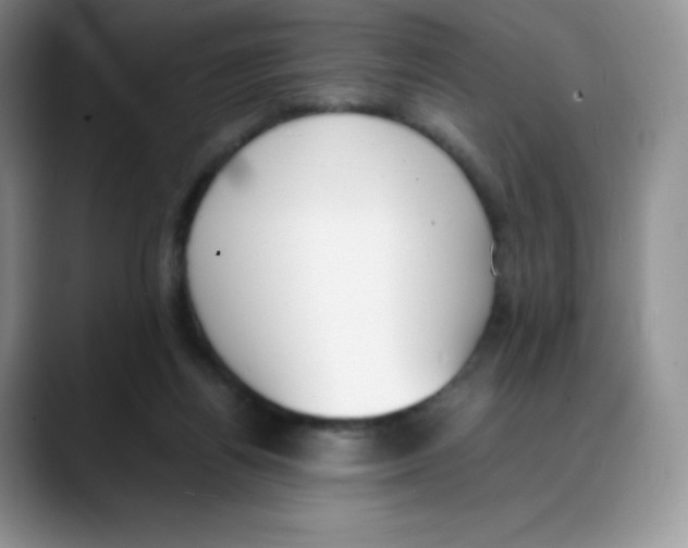 X0000088050164200706081636
