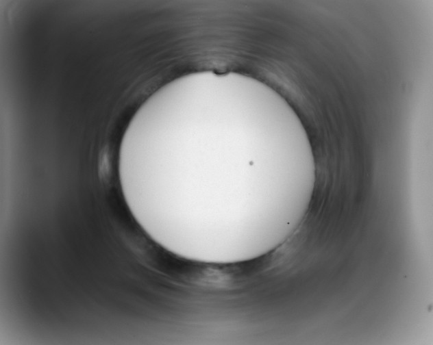 X0000088050166200706081636