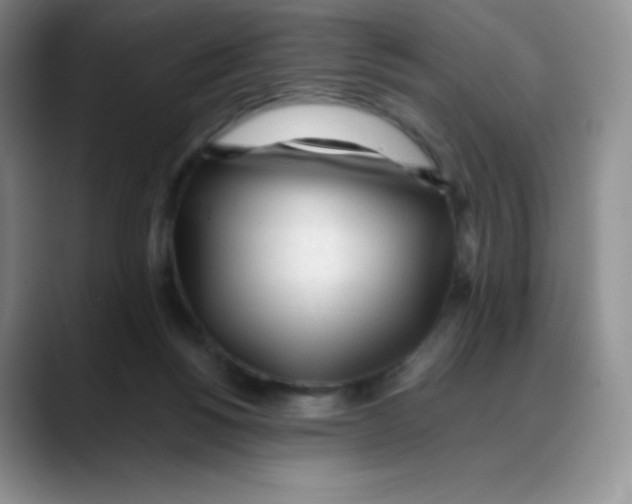 X0000088050168200706081636