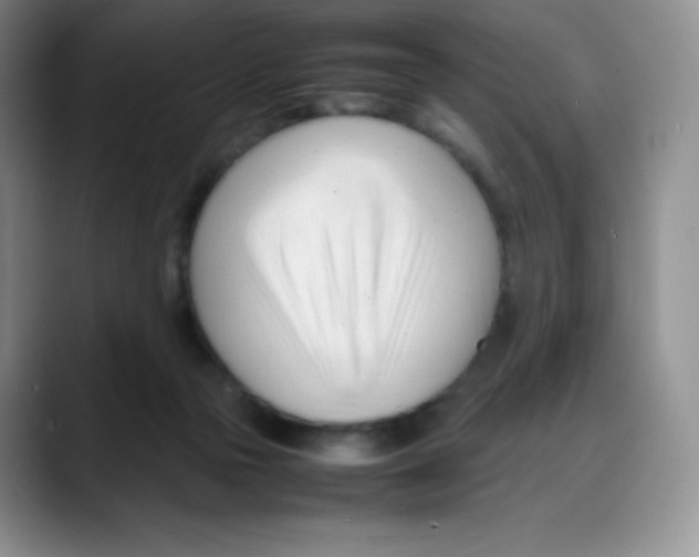 X0000088050169200706081636
