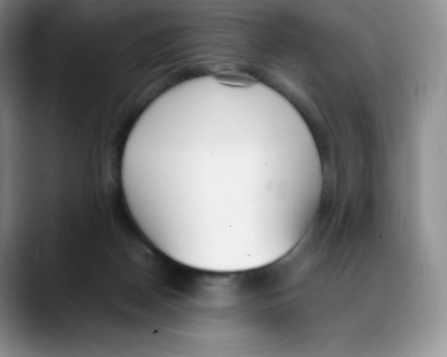 X0000088050170200706081636