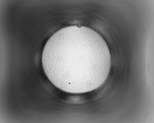X0000088050171200706081636