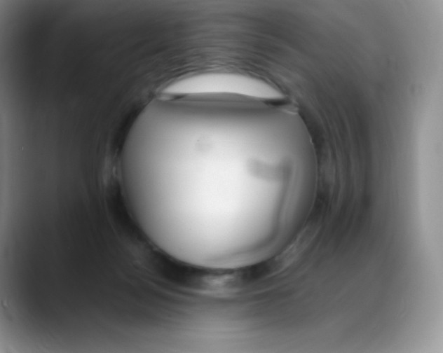 X0000088050172200706081636