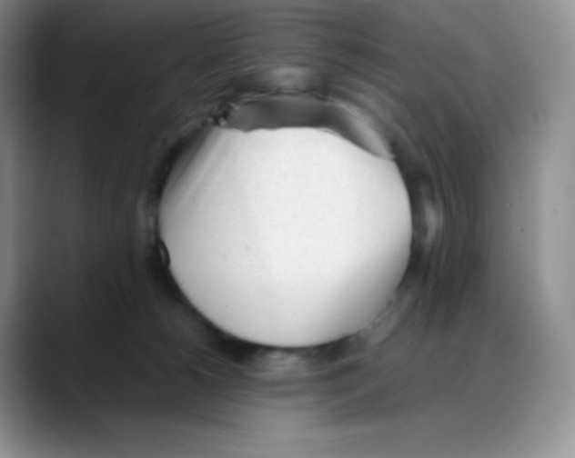 X0000088050180200706081637